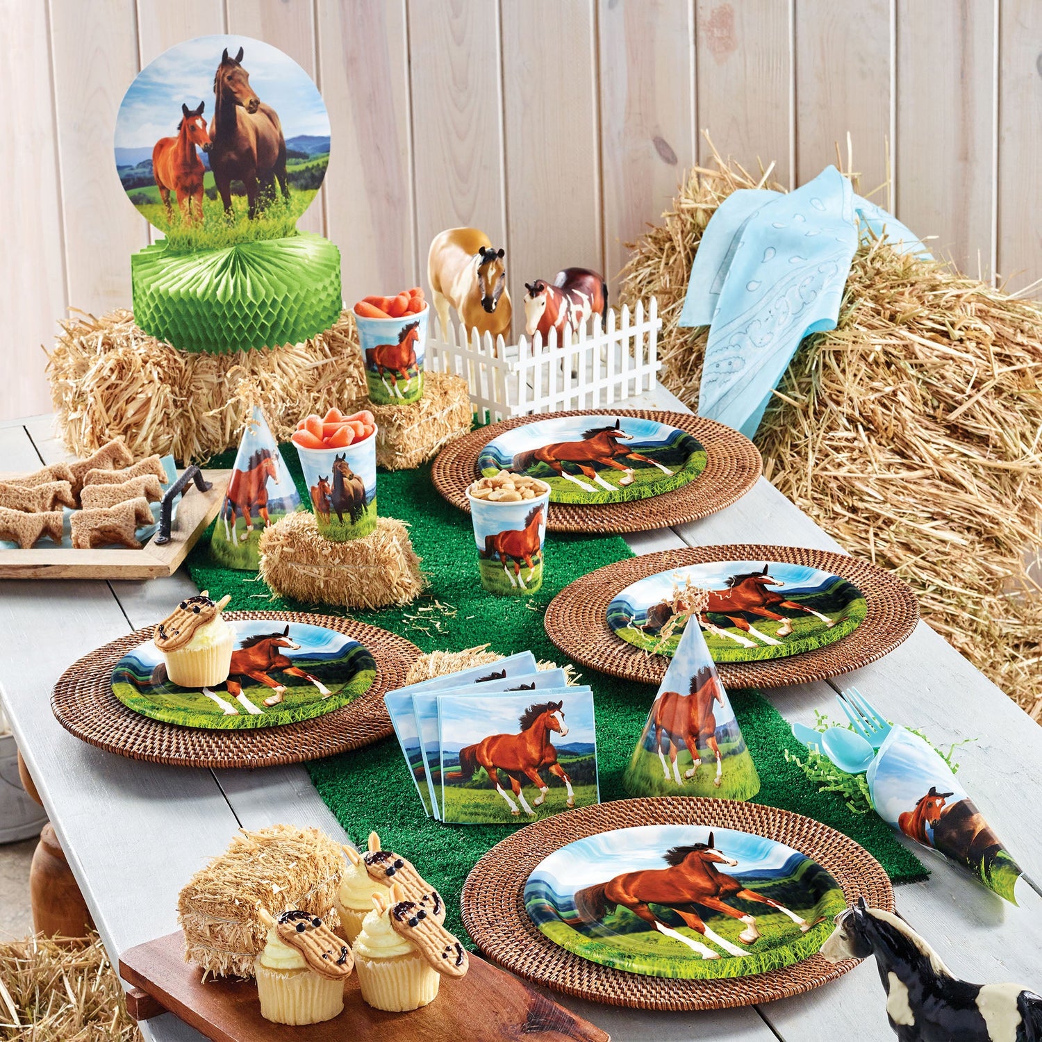 Wild Horse Party Supplies on a table