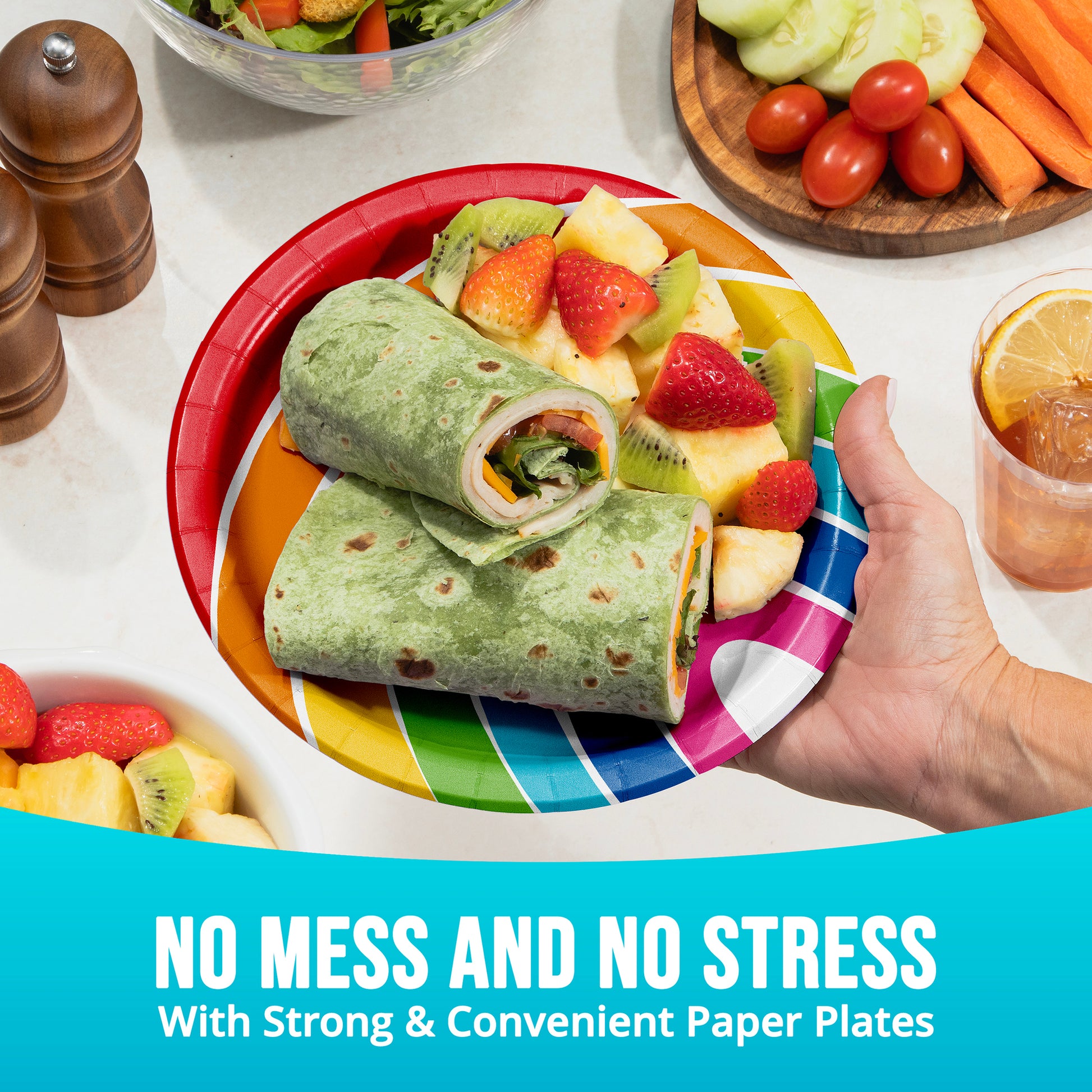 Colorful paper plate with a wrap and fruit, surrounded by vegetables and a drink, with text 'No Mess and No Stress'.
